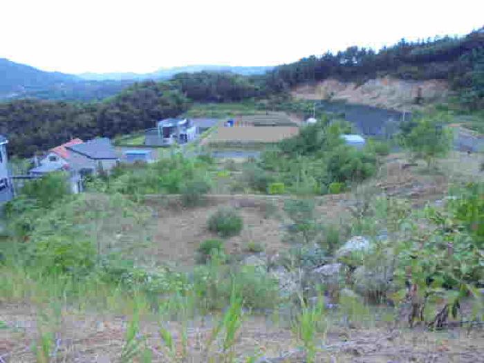 충청북도 청주시 서원구 남이면 문동리 21-6 외 28필지 도로 경매 사진 13