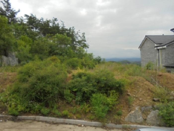 충청북도 청주시 서원구 남이면 문동리 21-6 외 28필지 도로 경매 사진 3