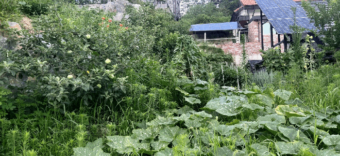 충청북도 청주시 서원구 남이면 문동리 21-6 외 28필지 도로 경매 사진 28