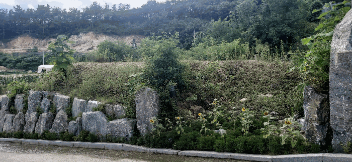 충청북도 청주시 서원구 남이면 문동리 21-6 외 28필지 도로 경매 사진 42