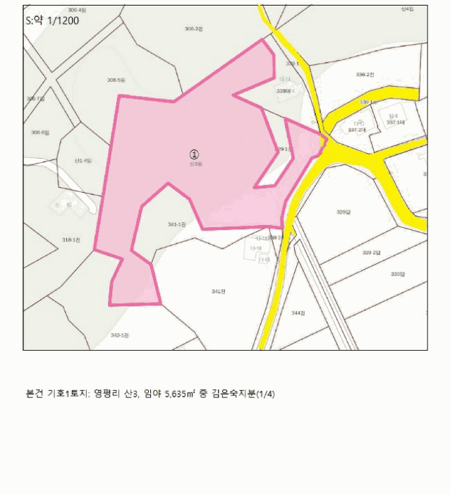 충청북도 충주시 대소원면 영평리 산3 임야 경매 사진 13
