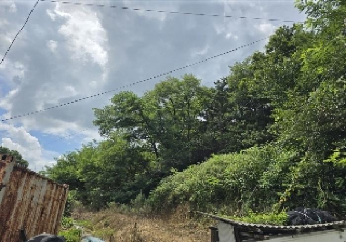 충청북도 충주시 대소원면 영평리 산3 임야 경매 사진 3