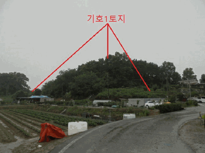 충청북도 충주시 대소원면 영평리 산3 임야 경매 사진 4