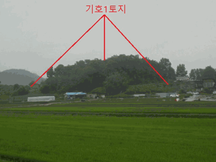 충청북도 충주시 대소원면 영평리 산3 임야 경매 사진 6