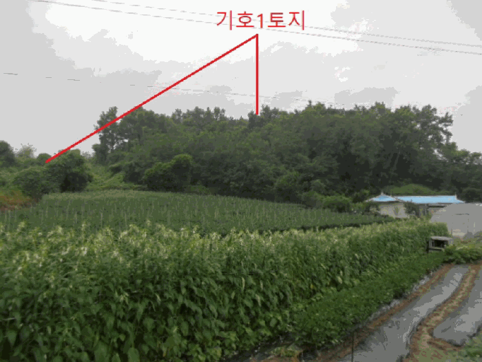 충청북도 충주시 대소원면 영평리 산3 임야 경매 사진 7