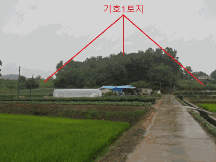 충청북도 충주시 대소원면 영평리 산3 임야 경매 사진 9