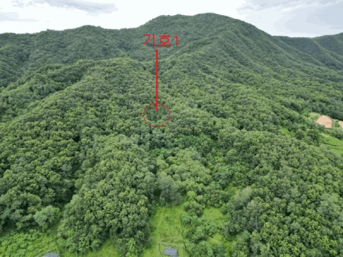 충청북도 음성군 원남면 문암리 845-2 전 경매 사진 4