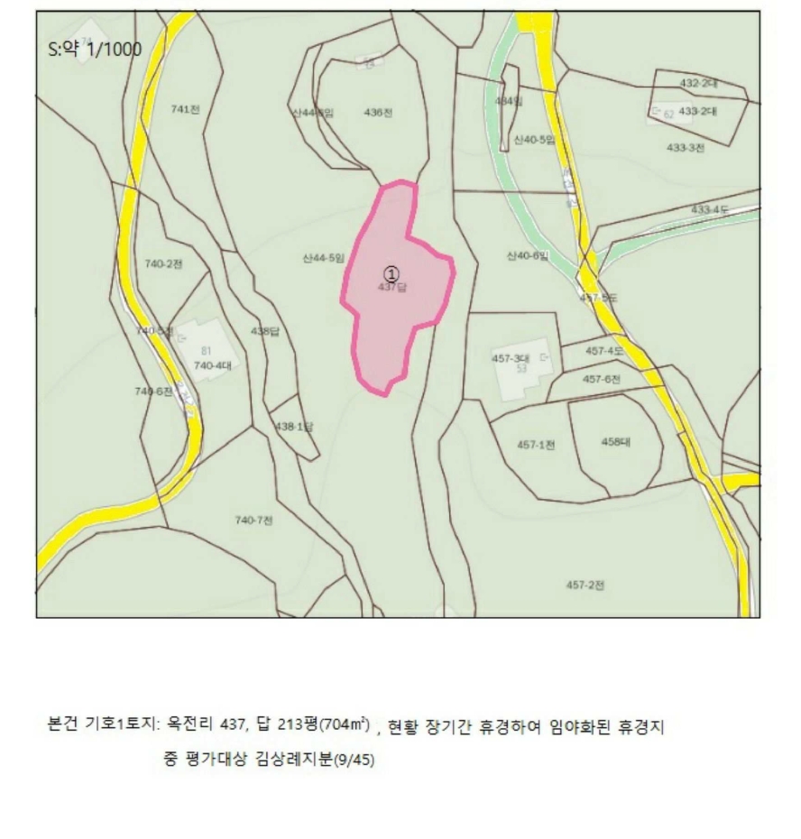 충청북도 제천시 봉양읍 옥전리 437 외 1필지 답 경매 사진 7