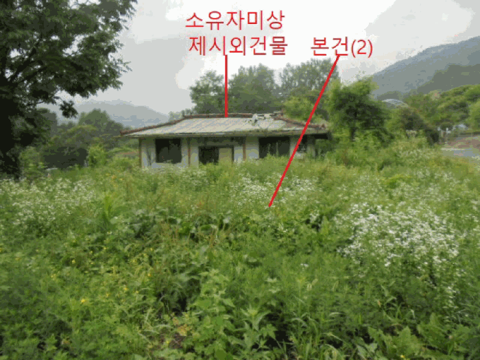 충청북도 제천시 봉양읍 옥전리 437 외 1필지 답 경매 사진 9