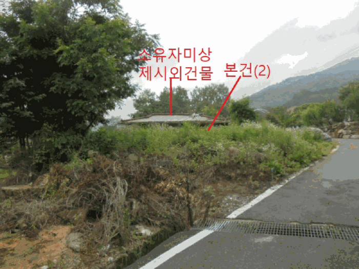 충청북도 제천시 봉양읍 옥전리 437 외 1필지 답 경매 사진 10