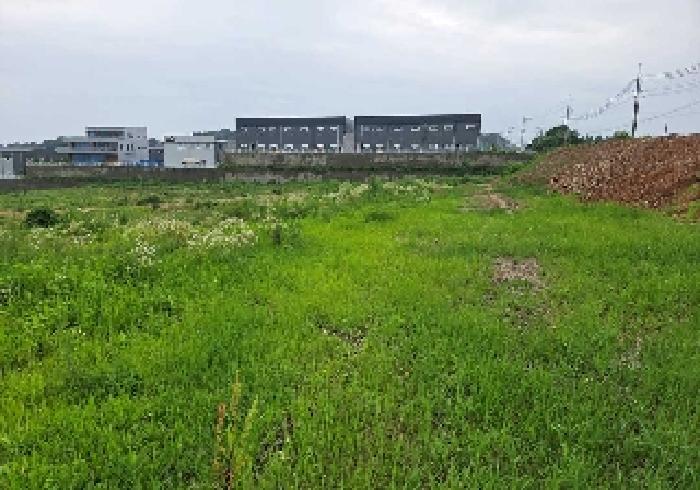 충청남도 천안시 성환읍 송덕리 196-10 외 2필지 잡종지 경매 사진 12