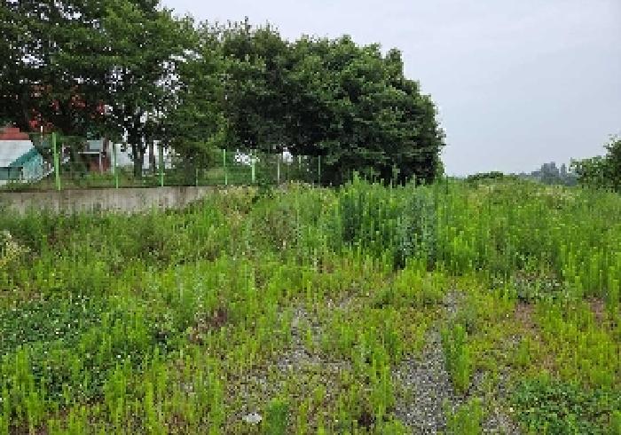 충청남도 천안시 성환읍 송덕리 196-10 외 2필지 잡종지 경매 사진 17