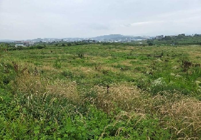 충청남도 천안시 성환읍 송덕리 196-10 외 2필지 잡종지 경매 사진 18