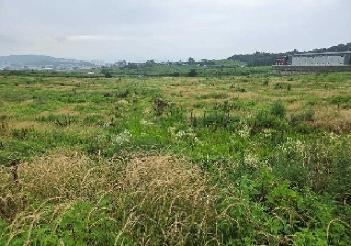 충청남도 천안시 성환읍 송덕리 196-10 외 2필지 잡종지 경매 사진 19