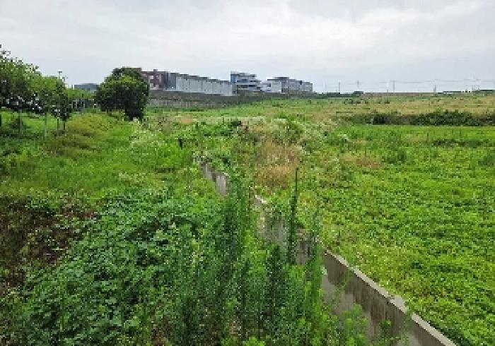 충청남도 천안시 성환읍 송덕리 196-10 외 2필지 잡종지 경매 사진 22