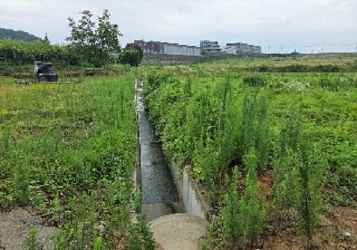 충청남도 천안시 성환읍 송덕리 196-10 외 2필지 잡종지 경매 사진 26