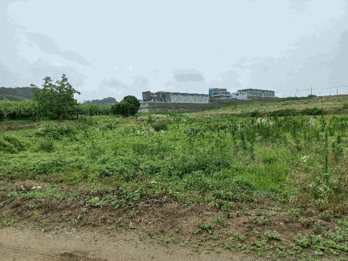 충청남도 천안시 성환읍 송덕리 196-10 외 2필지 잡종지 경매 사진 30