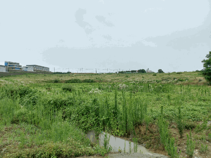 충청남도 천안시 성환읍 송덕리 196-10 외 2필지 잡종지 경매 사진 32