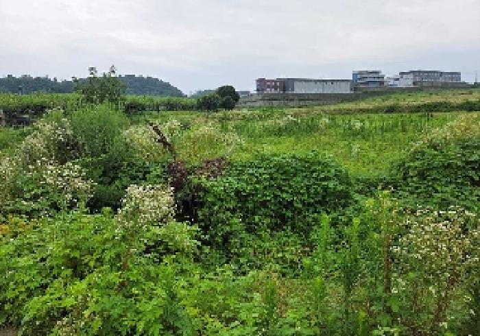충청남도 천안시 성환읍 송덕리 196-10 외 2필지 잡종지 경매 사진 9