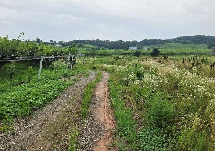 충청남도 천안시 성환읍 송덕리 196-10 외 2필지 잡종지 경매 사진 10
