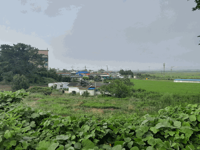 충청남도 당진시 석문면 초락도리 500-10 주택 경매 사진 23