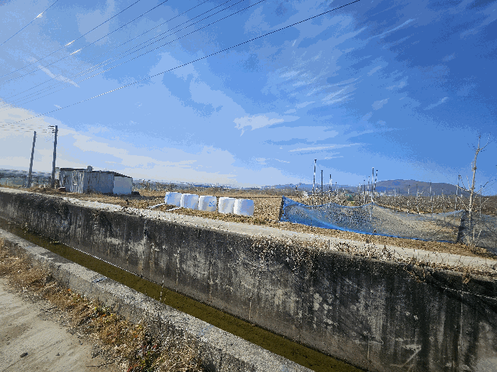 경상북도 경산시 와촌면 상암리 1038 답 경매 사진 8