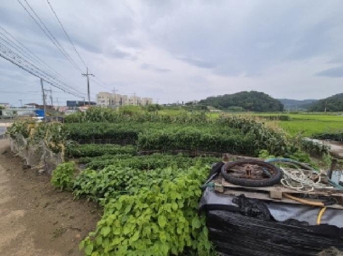 경상북도 포항시 남구 구룡포읍 구평리 712-3 전 경매 사진 11
