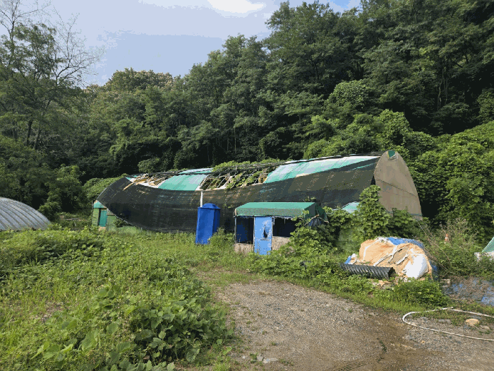 울산광역시 북구 매곡동 산18 외 2필지 임야 경매 사진 11