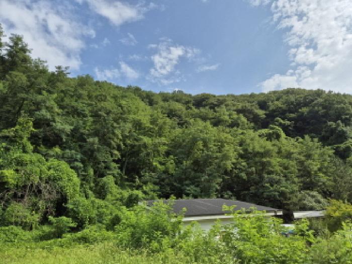 울산광역시 북구 매곡동 산18 외 2필지 임야 경매 사진 4