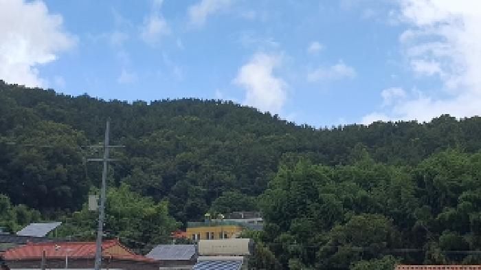 경상남도 창원시 마산합포구 진동면 사동리 산9 임야 경매 사진 9