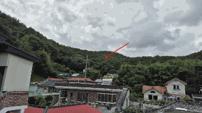 경상남도 창원시 마산합포구 진동면 사동리 산9 임야 경매 사진 11