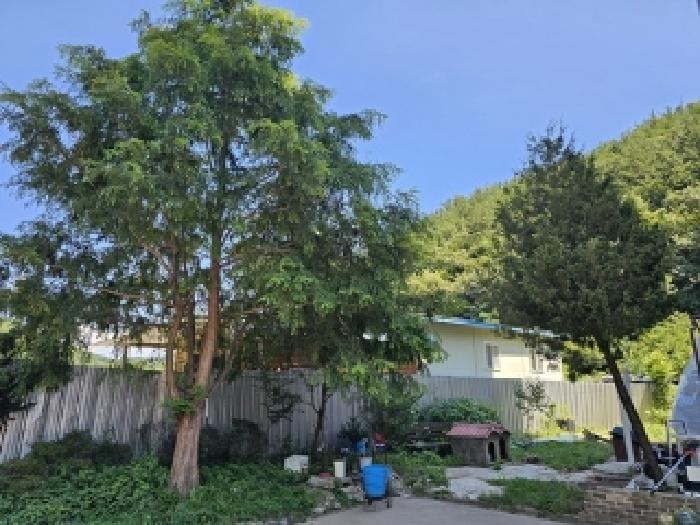 경상남도 진주시 문산읍 상문리 963 노유자시설 경매 사진 44