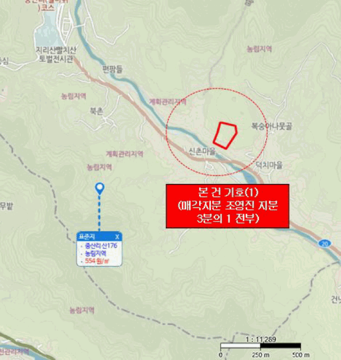 경상남도 산청군 시천면 중산리 산45 임야 경매 사진 5