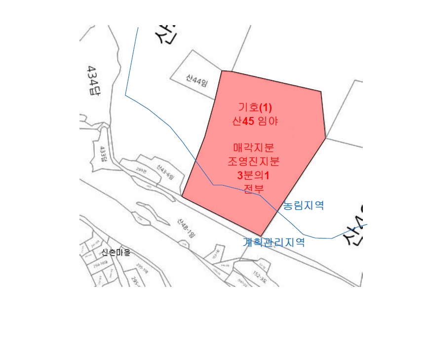 경상남도 산청군 시천면 중산리 산45 임야 경매 사진 6