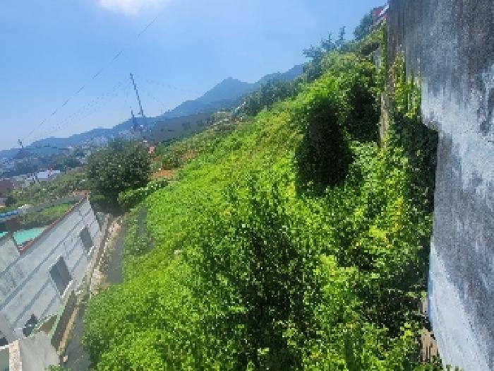 경상남도 통영시 도천동 894 임야 경매 사진 6