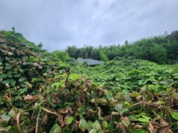 전북특별자치도 부안군 행안면 역리 556 주택 경매 사진 15