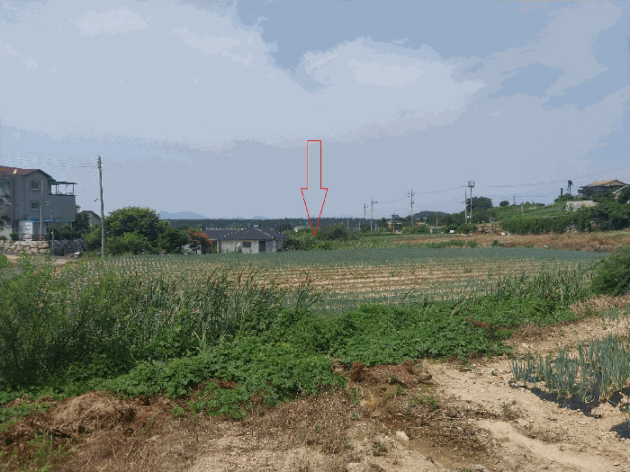 전북특별자치도 부안군 변산면 운산리 353-9 외 1필지 전 경매 사진 8