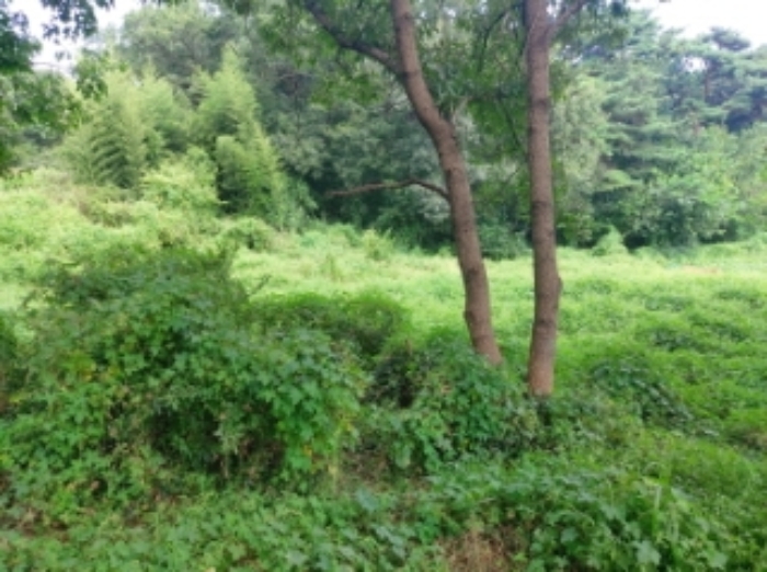 충청남도 당진시 송악읍 부곡리 397-3 전 경매 사진 7