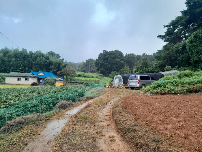 충청남도 당진시 송악읍 부곡리 397-3 전 경매 사진 9