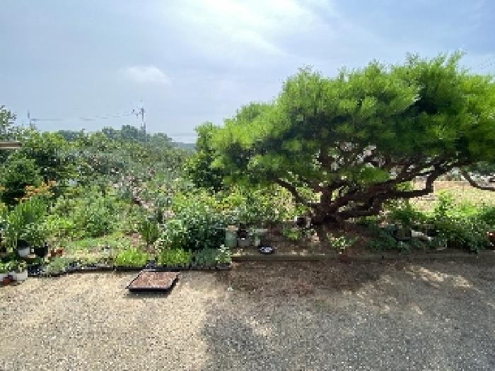 충청남도 당진시 합덕읍 운산리 247-72 단독주택 경매 사진 15