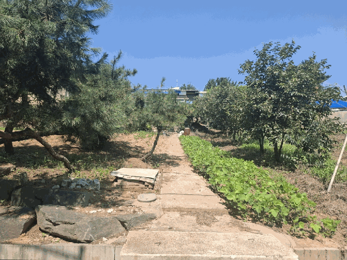 충청남도 당진시 합덕읍 운산리 247-72 단독주택 경매 사진 19