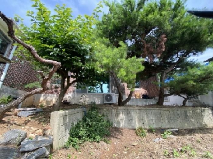 충청남도 당진시 합덕읍 운산리 247-72 단독주택 경매 사진 3