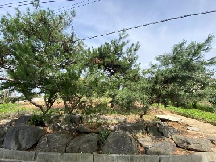 충청남도 당진시 합덕읍 운산리 247-72 단독주택 경매 사진 10