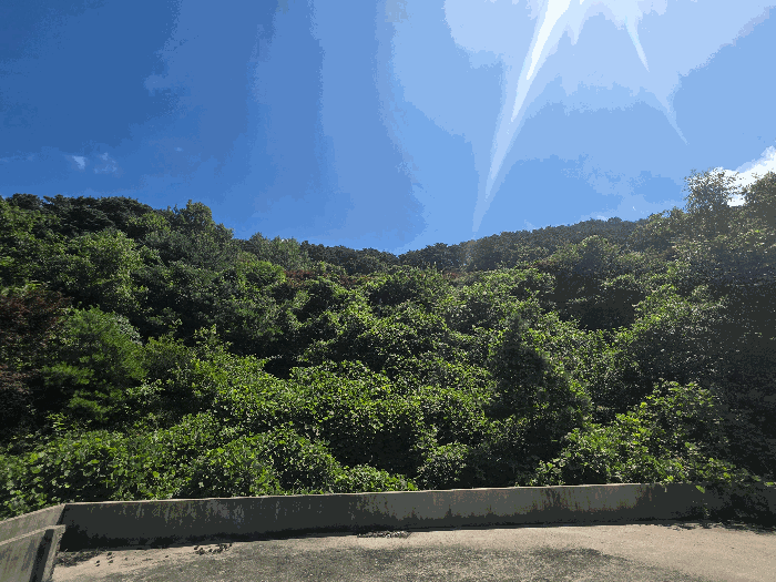 전북특별자치도 정읍시 산내면 종성리 985 외 2필지 단독주택 경매 사진 17