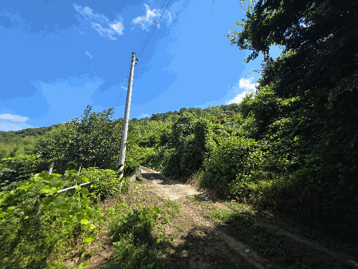 전북특별자치도 정읍시 산내면 종성리 985 외 2필지 단독주택 경매 사진 19