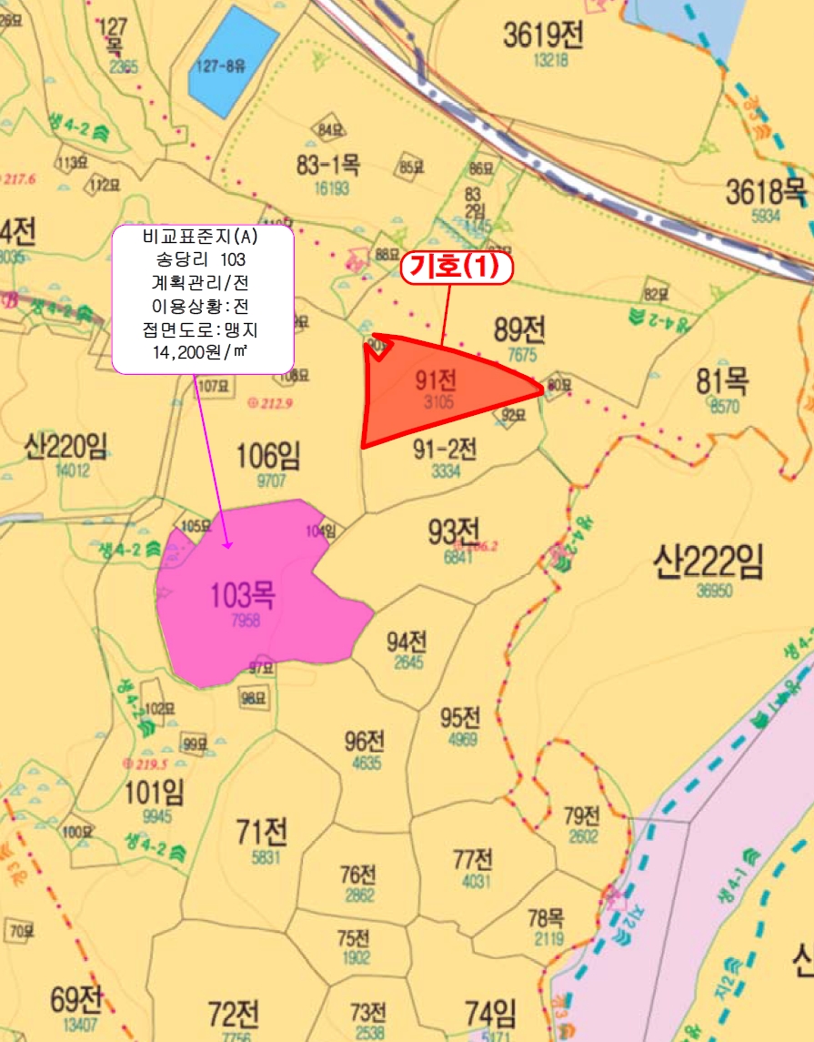 제주특별자치도 제주시 구좌읍 송당리 91 전 경매 사진 10