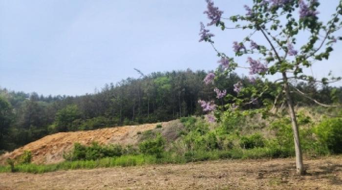 전라남도 여수시 소라면 봉두리 산433 임야 경매 사진 2