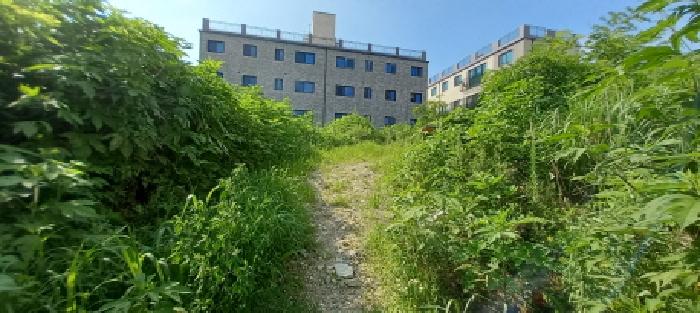 경기도 포천시 어룡동 310-7 외 7필지 도로 경매 사진 5