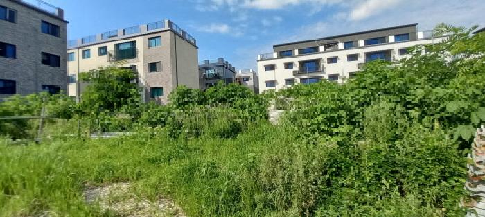 경기도 포천시 어룡동 310-7 외 7필지 도로 경매 사진 6