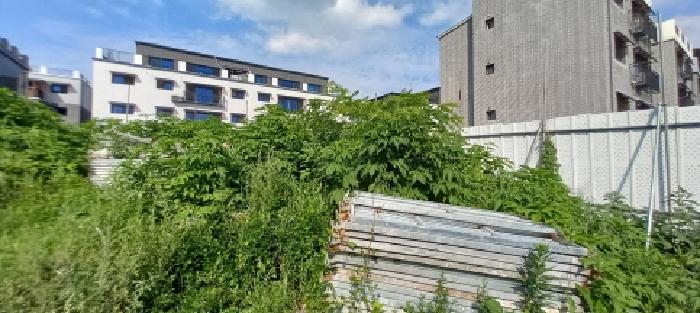 경기도 포천시 어룡동 310-7 외 7필지 도로 경매 사진 7